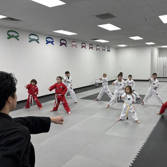 Kids Taekwondo 1 Class